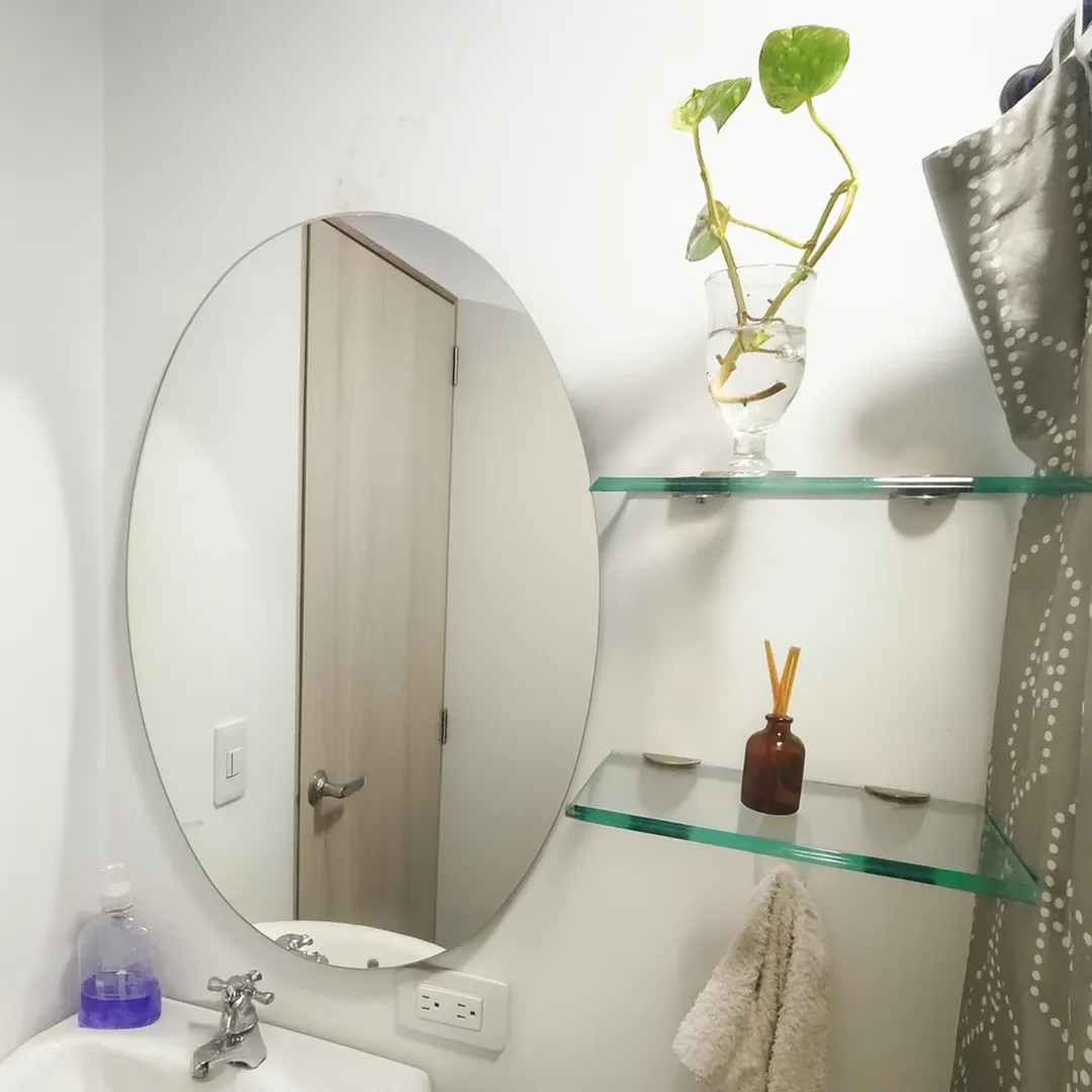Modern bathroom mirror with plant and shelves